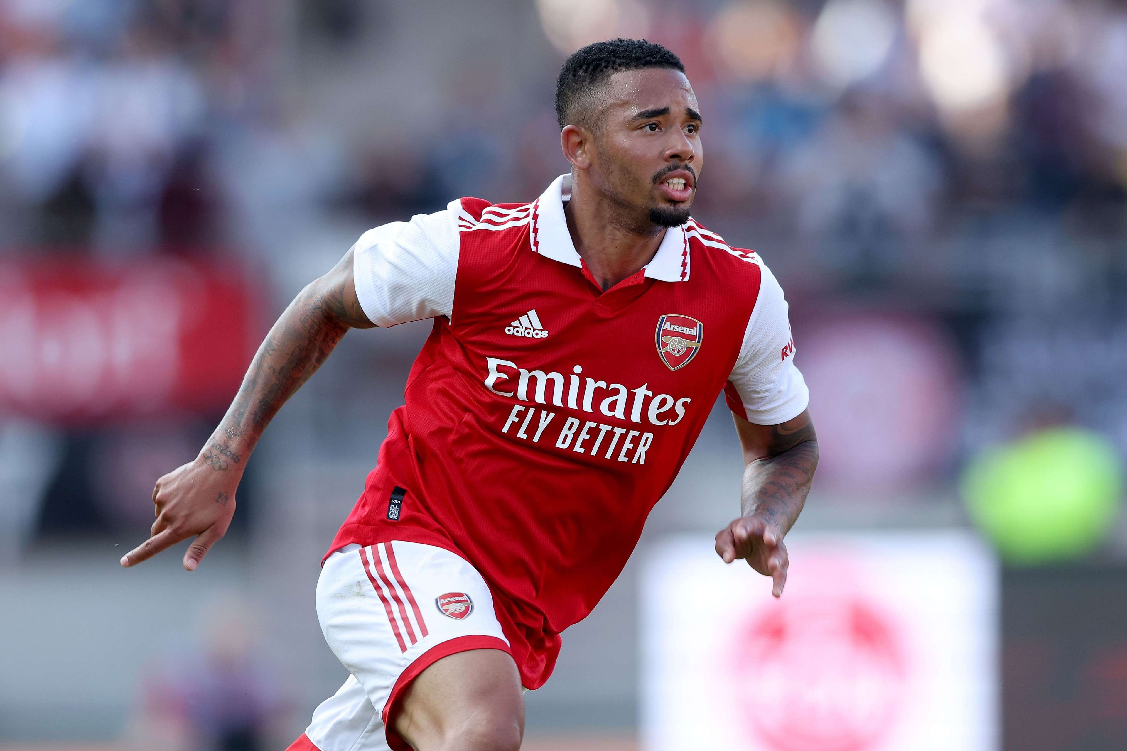 了裁判和观 了裁判和观