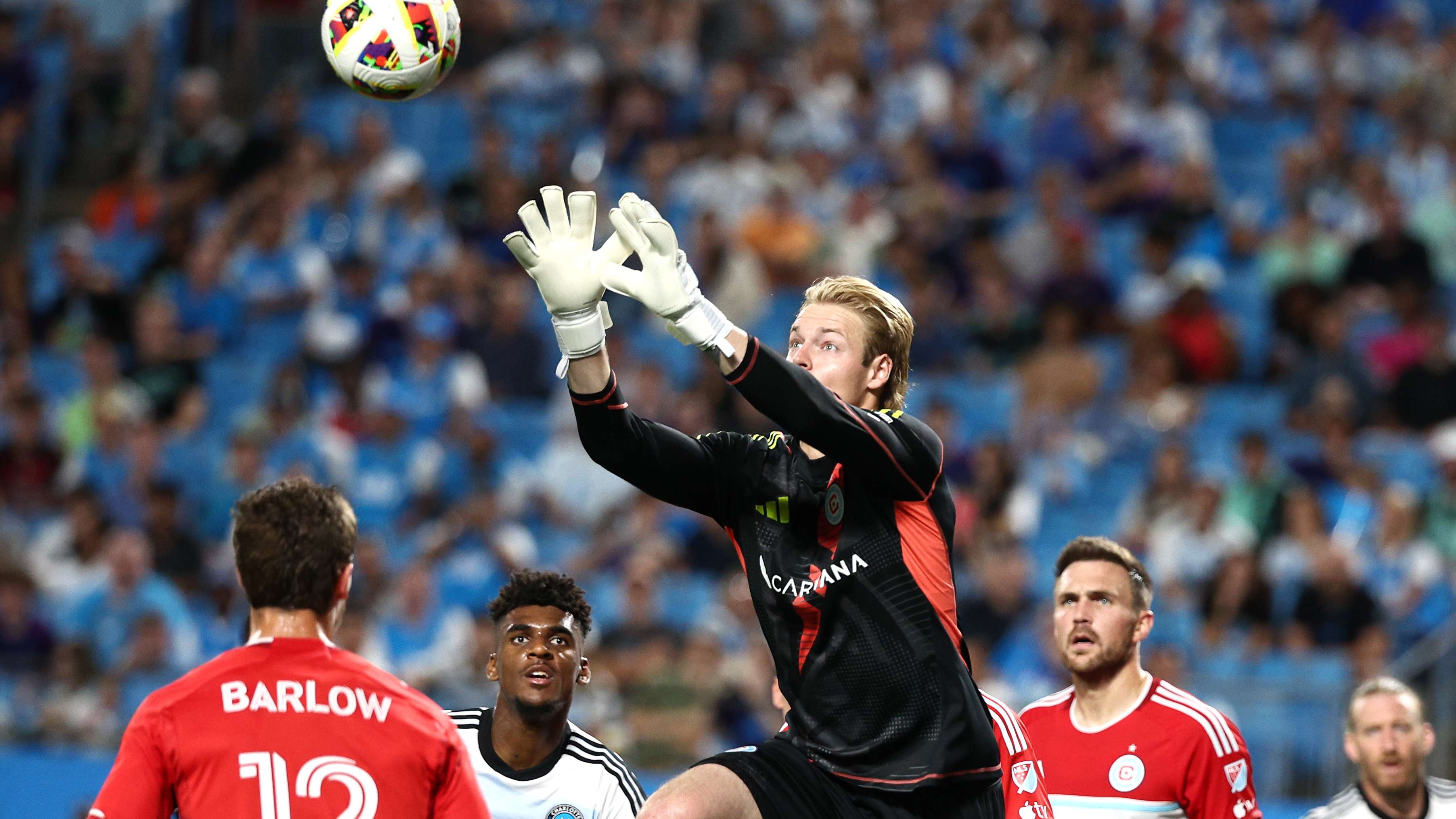 不仅是个人 不仅是个人